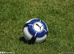 官网入口,资讯,1xbet官网入口,1xbet官网,1xbet体育官方网站,1xbet官网入口,1xbet体育官网