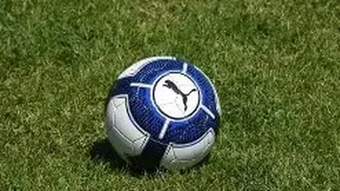 1xbet官网入口 资讯 121709 p1d