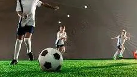 1xbet官网入口 资讯 095400 nph